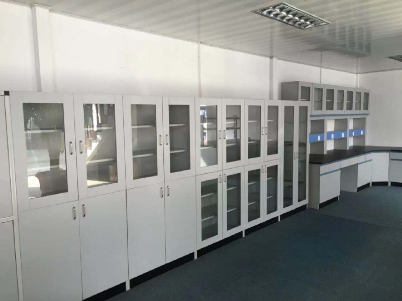 山東實(shí)驗(yàn)室PP藥品柜，樣品柜試劑柜