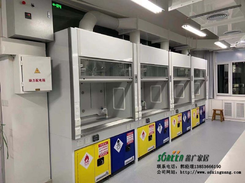 山東濰坊青島威海煙臺淄博菏澤通風柜實驗臺生產廠家