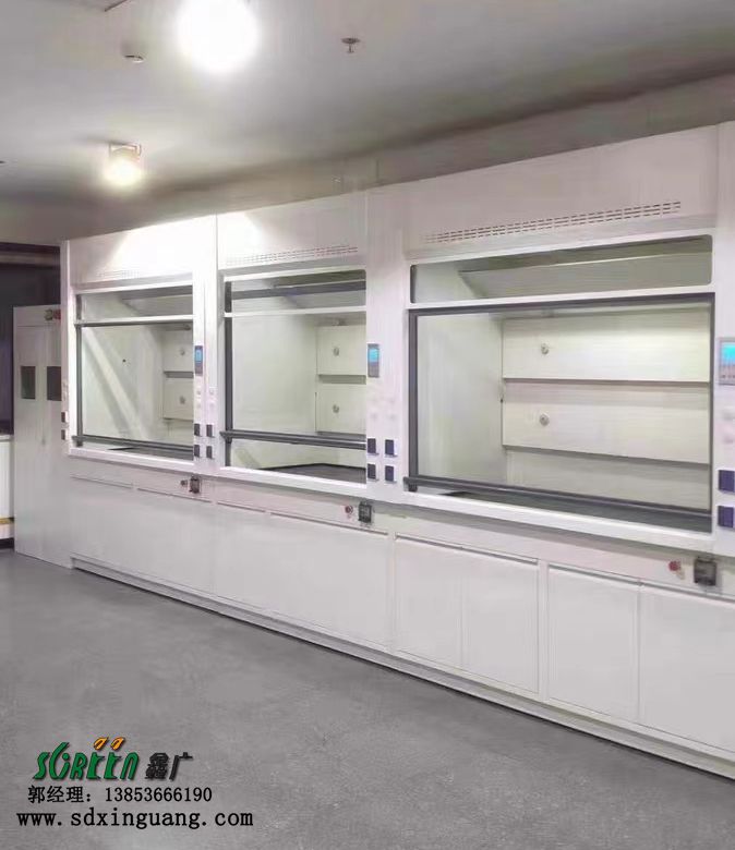 實(shí)驗(yàn)室PP通風(fēng)柜