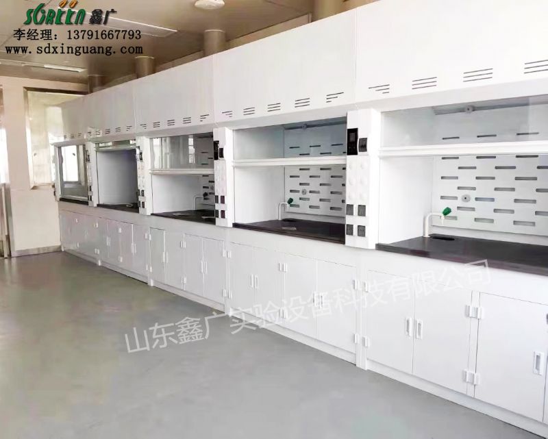 實驗室通風(fēng)柜廠家