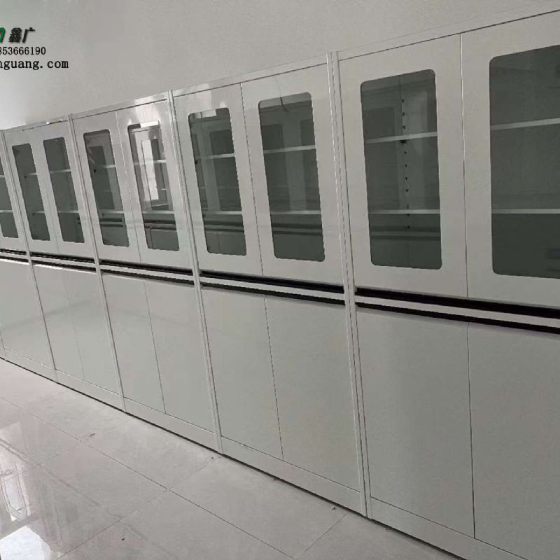 濟(jì)南實(shí)驗(yàn)臺(tái)廠家 全鋼器皿柜 實(shí)驗(yàn)室試劑柜可定制