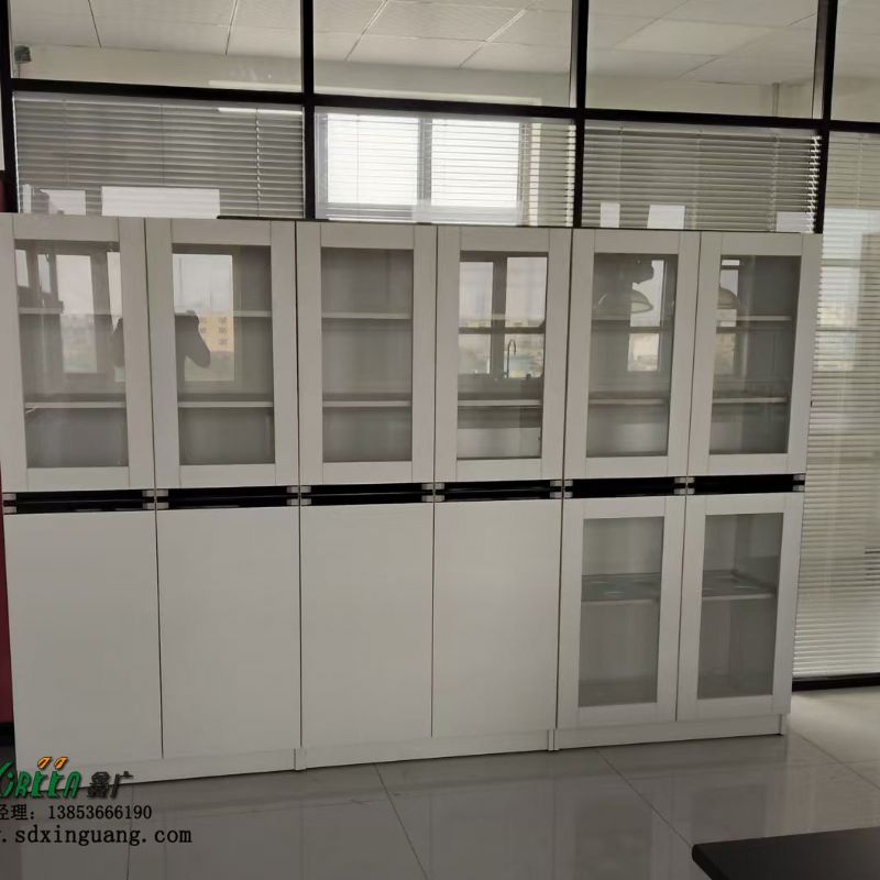 濰坊實(shí)驗(yàn)臺(tái)設(shè)備實(shí)驗(yàn)室器皿柜試劑柜生產(chǎn)廠家