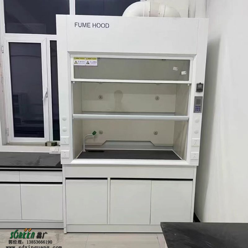 山東通風柜廠家 實驗室專業設備實驗臺廠家