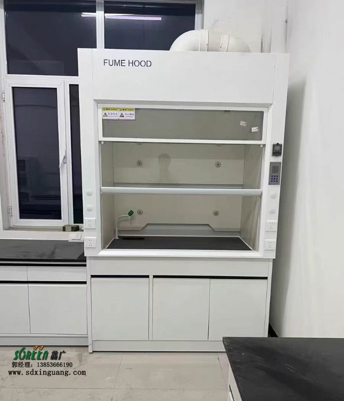 山東通風(fēng)柜廠家 實驗室專業(yè)設(shè)備實驗臺廠家