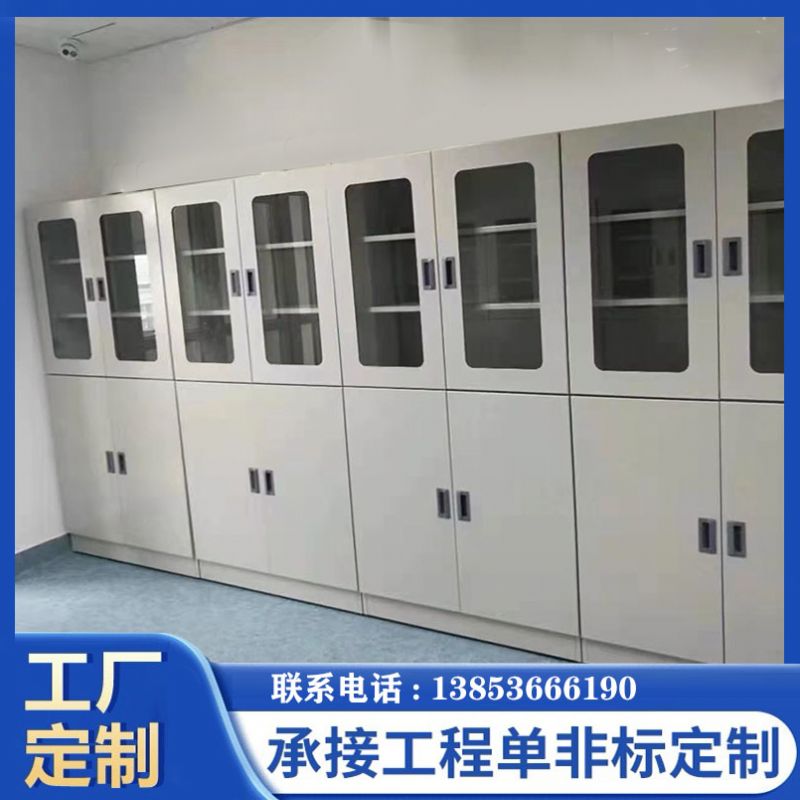 山東實驗臺廠家全鋼器皿柜化學品柜 存儲柜