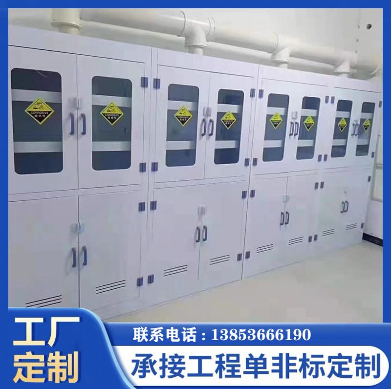 PP器皿柜 實(shí)驗(yàn)室試劑柜雙鎖防腐蝕器強(qiáng)酸堿儲(chǔ)存柜
