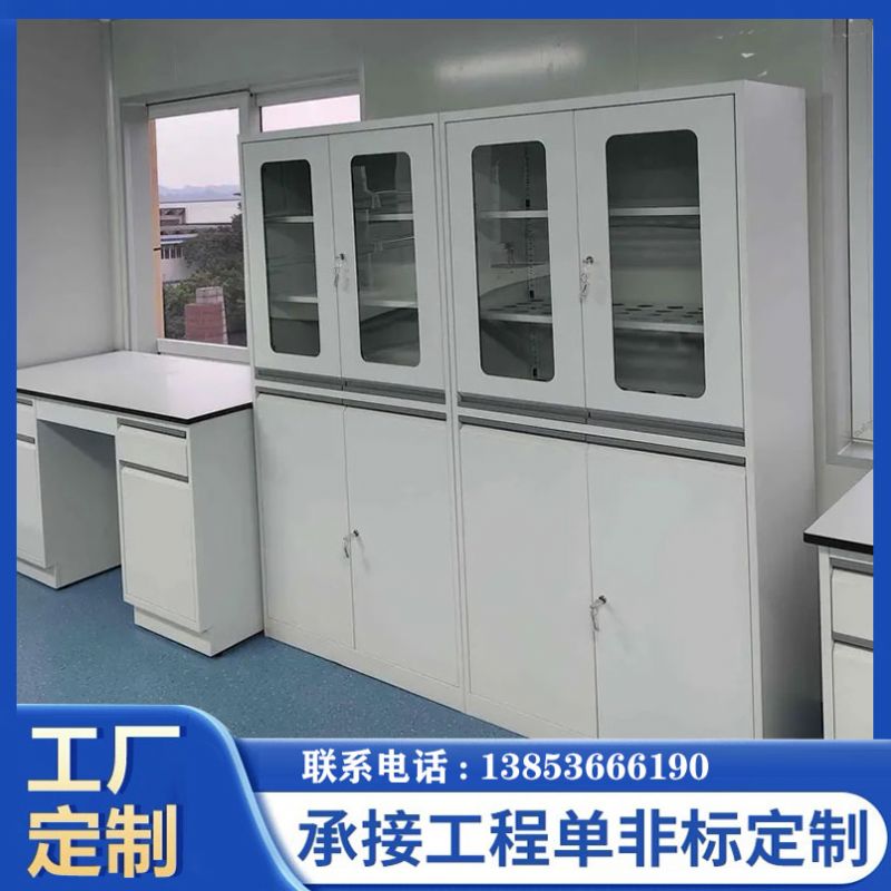 山東濱州實驗臺實驗室器皿柜試劑柜廠家定制